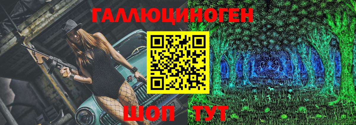 Галлюциногенные грибы MAGIC MUSHROOMS  Вход с VPN  Щёлково  Галлюциногенные грибы Psilocybe 